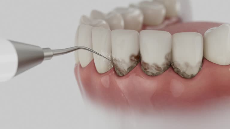 Reliable Dental contractor in Waller, WA by Dentist Open Now